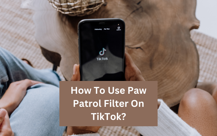 How To Use Paw Patrol Filter On TikTok?